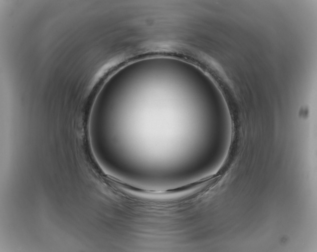 X0000091971218200709131331