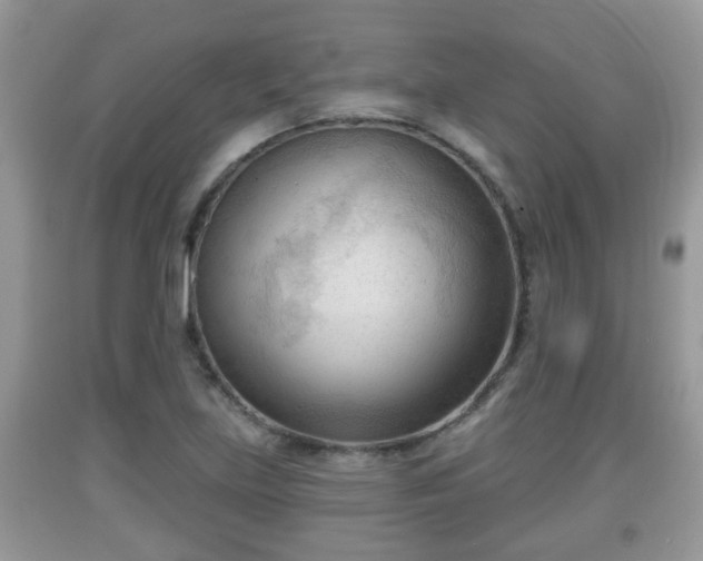 X0000091971219200709131331