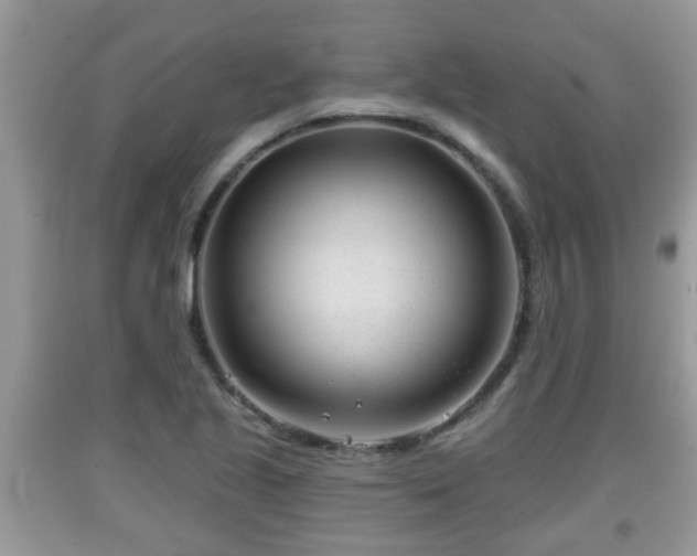 X0000091971221200709131331