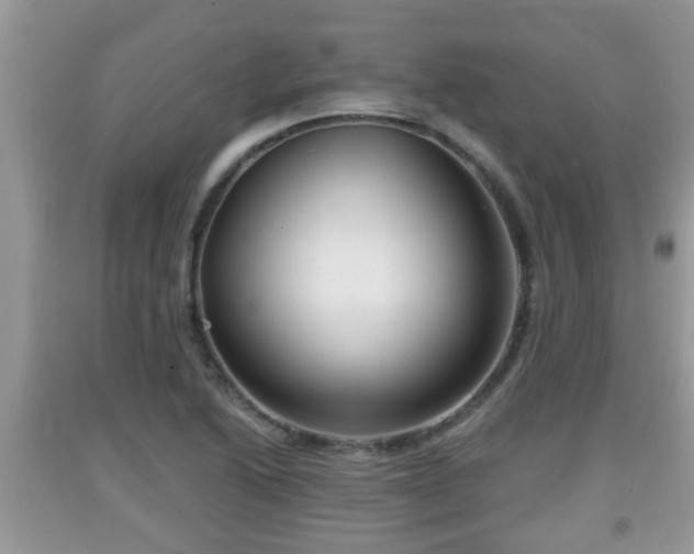 X0000091971222200709131331