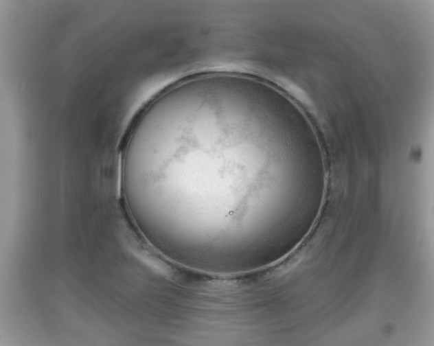 X0000091971223200709131331