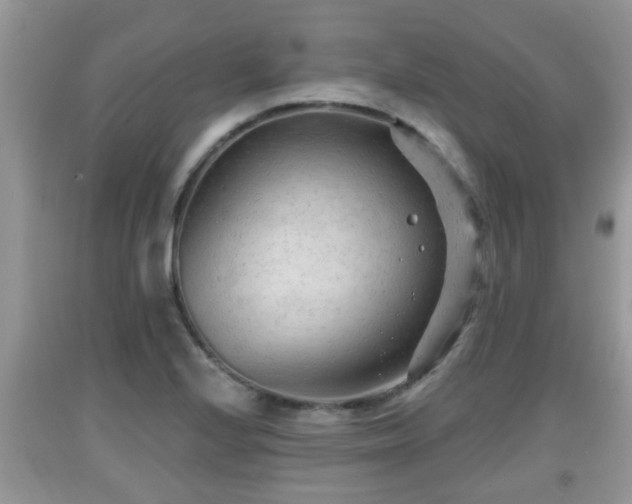 X0000091971224200709131331