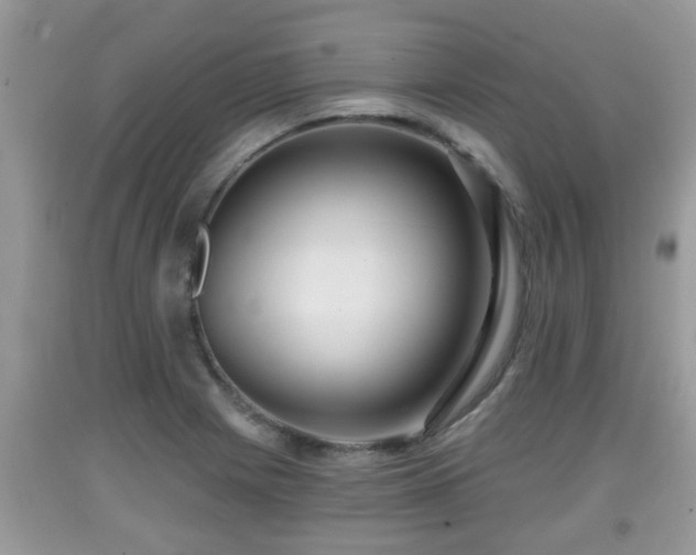 X0000091971225200709131331