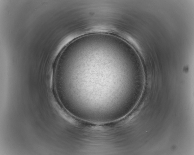 X0000091971227200709131331