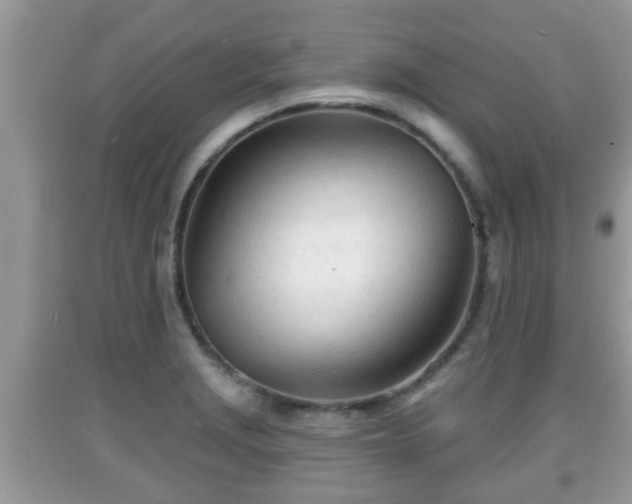X0000091971229200709131331