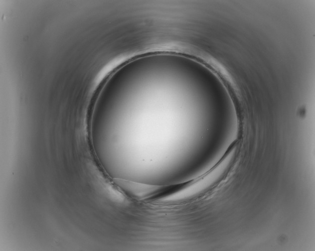 X0000091971230200709131331
