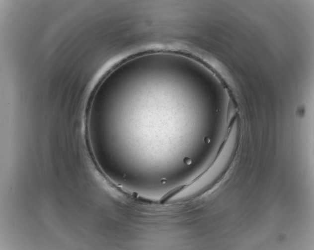 X0000091971232200709131331