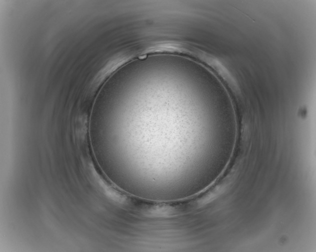 X0000091971233200709131331