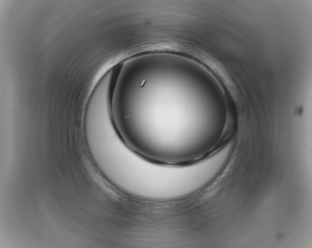 X0000091971234200709131331