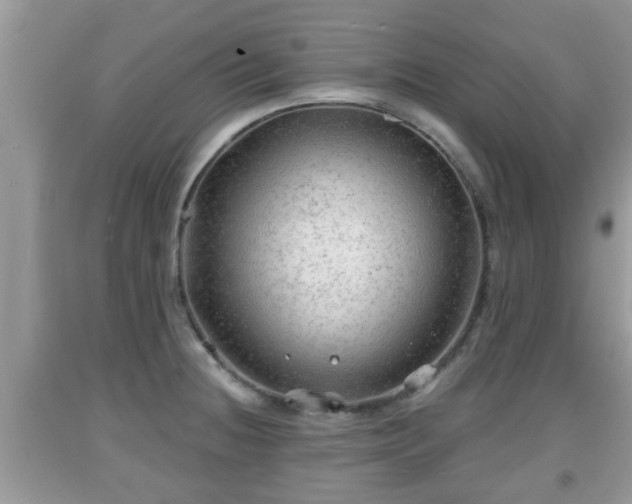 X0000091971236200709131331