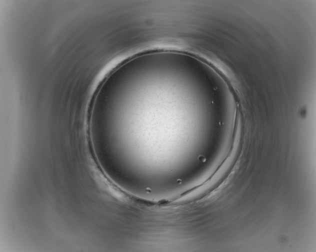 X0000091971240200709131331