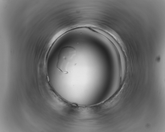 X0000091971242200709131331