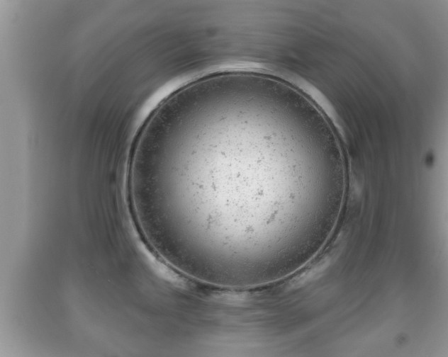 X0000091971245200709131331