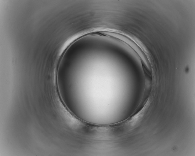 X0000091971246200709131331