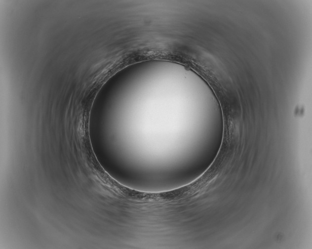 X0000091971250200709131331