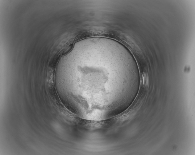 X0000091971251200709131331
