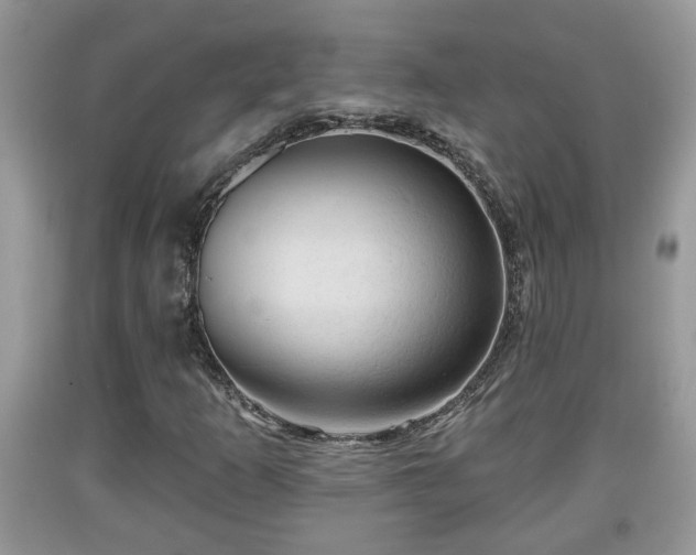 X0000091971253200709131330