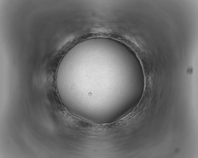 X0000091971254200709131330