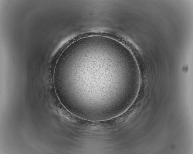 X0000091971256200709131330