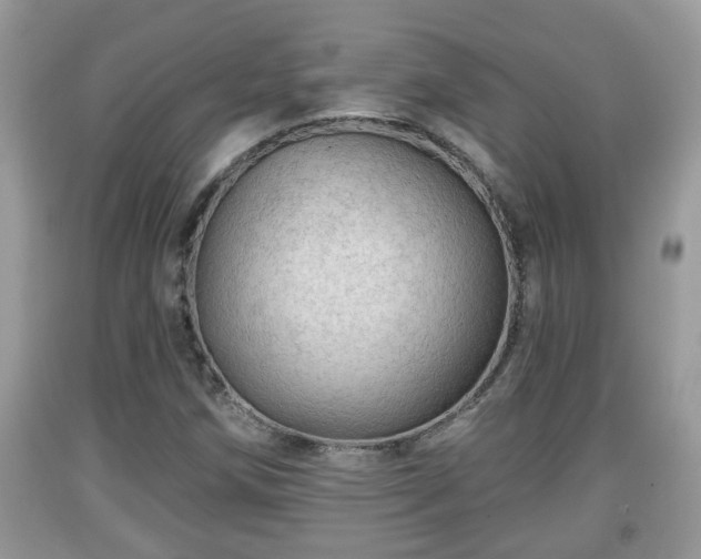 X0000091971258200709131330
