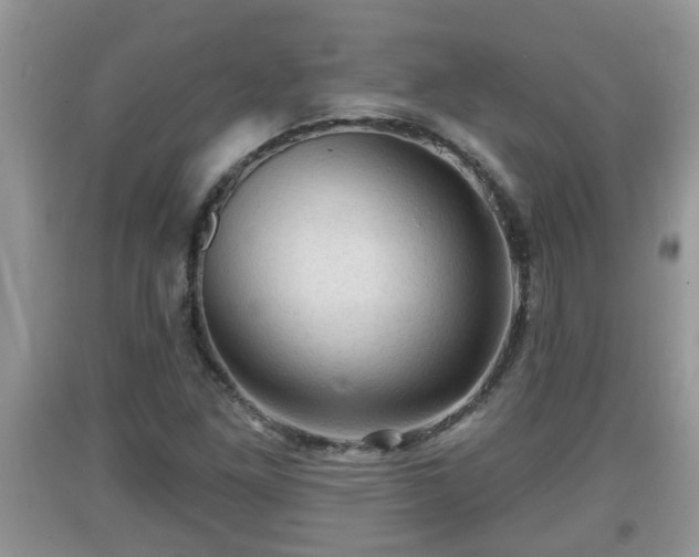 X0000091971261200709131330