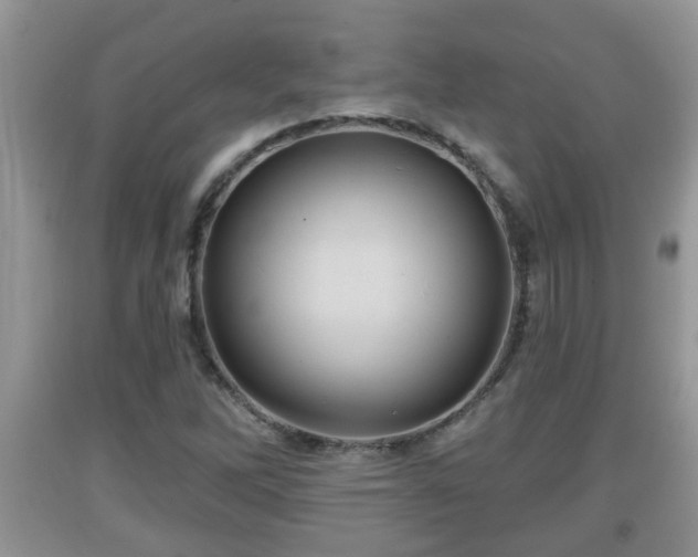 X0000091971262200709131330