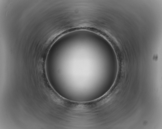 X0000091971265200709131330