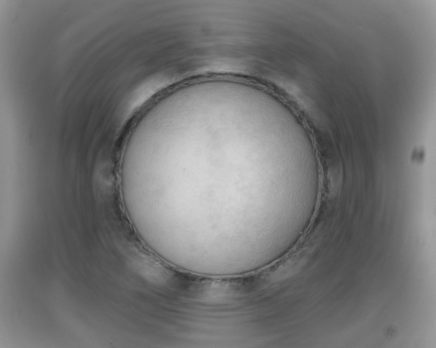 X0000091971266200709131330