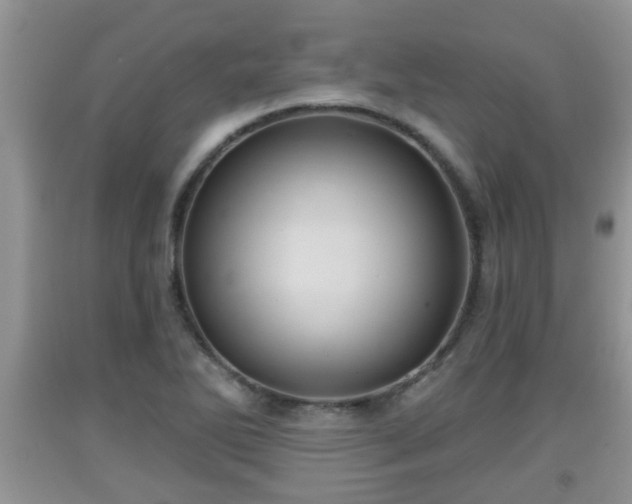 X0000091971270200709131330