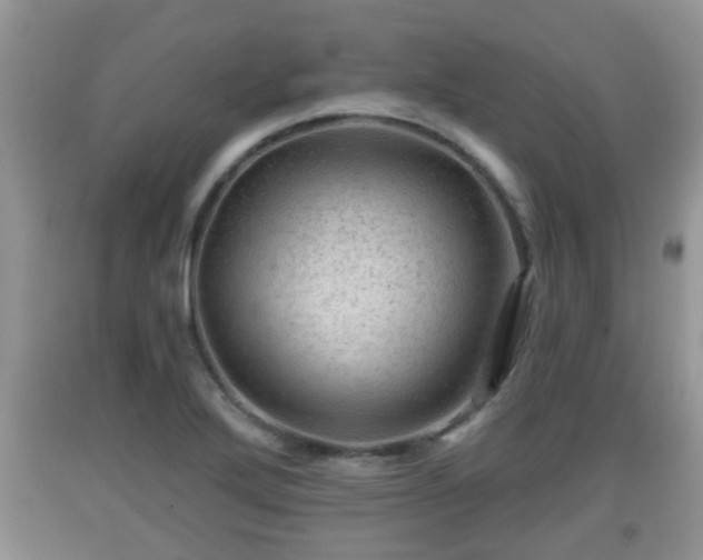 X0000091971272200709131330