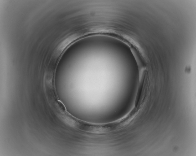 X0000091971273200709131330
