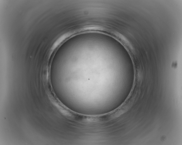 X0000091971274200709131330
