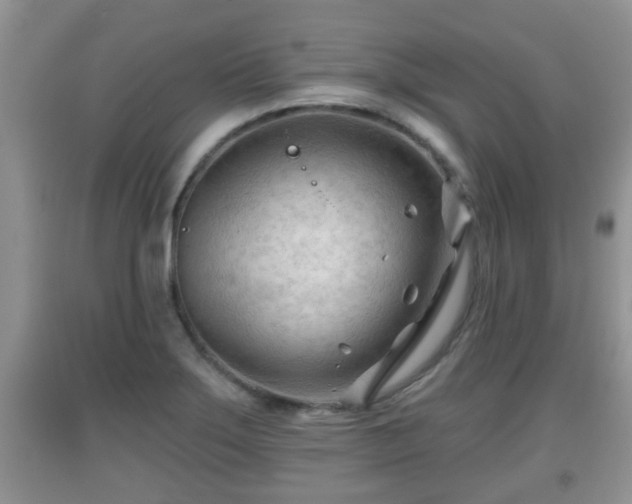 X0000091971275200709131330