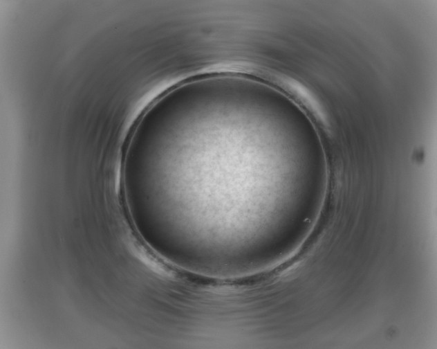 X0000091971276200709131330