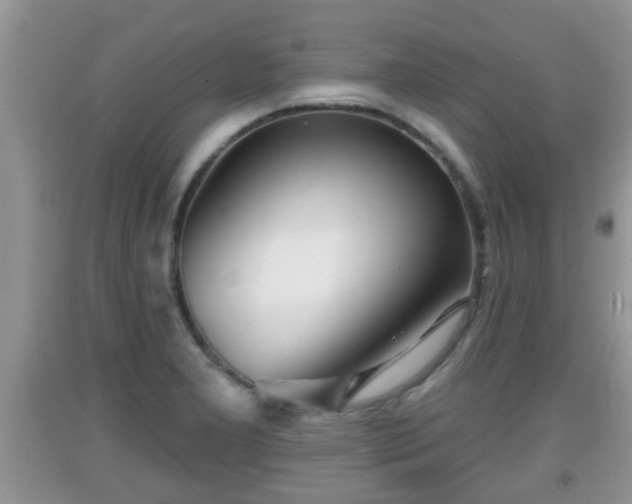 X0000091971277200709131330