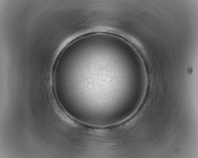 X0000091971280200709131330