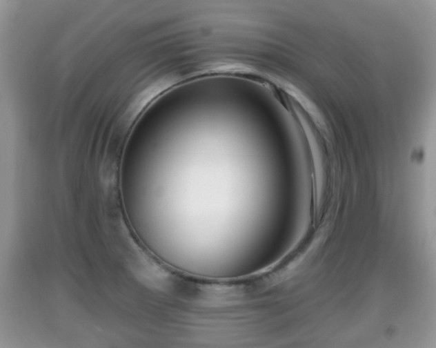 X0000091971281200709131330