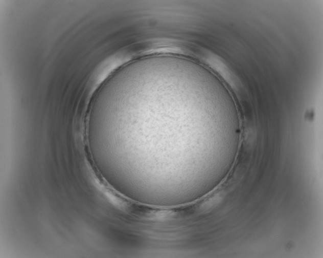 X0000091971282200709131330