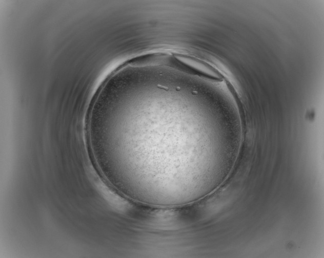 X0000091971283200709131330