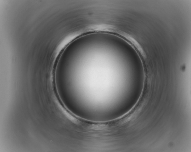 X0000091971285200709131330