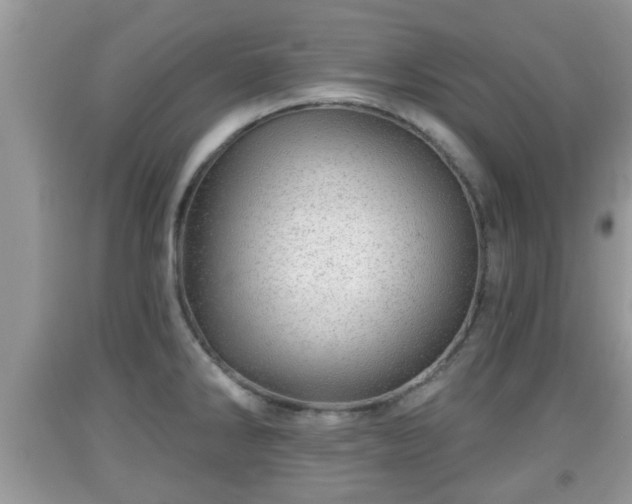 X0000091971286200709131330