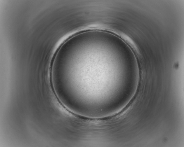 X0000091971288200709131330