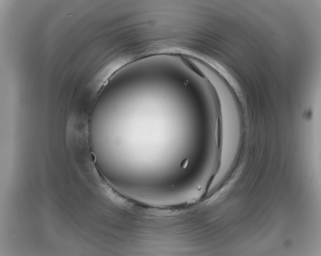 X0000091971289200709131330