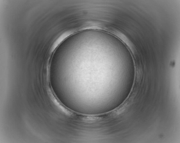 X0000091971290200709131330