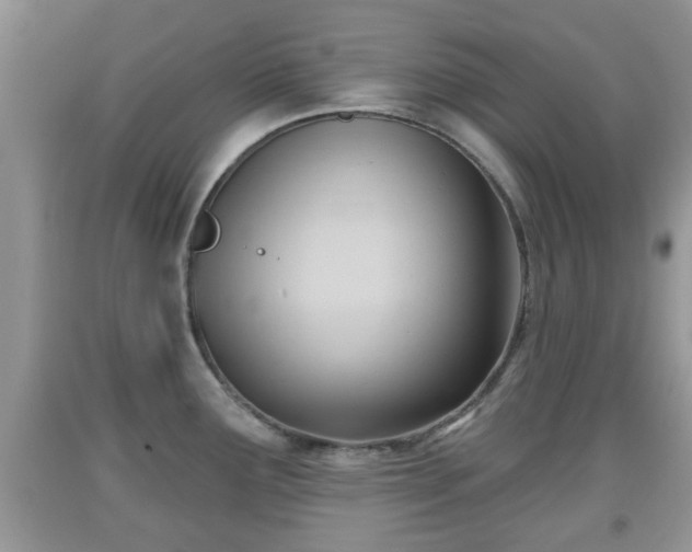 X0000091971291200709131330