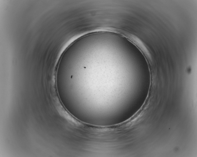 X0000091971292200709131330