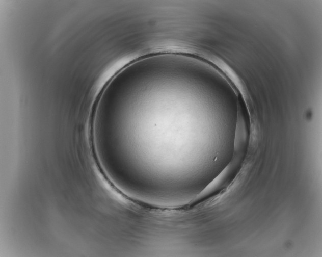 X0000091971293200709131330