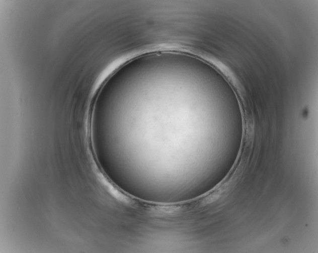 X0000091971294200709131330