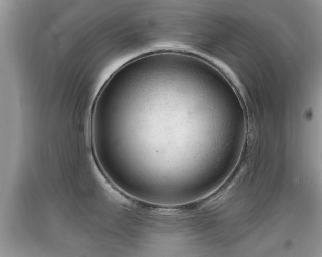 X0000091971295200709131330