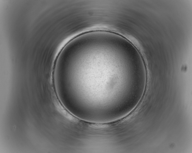 X0000091971296200709131330